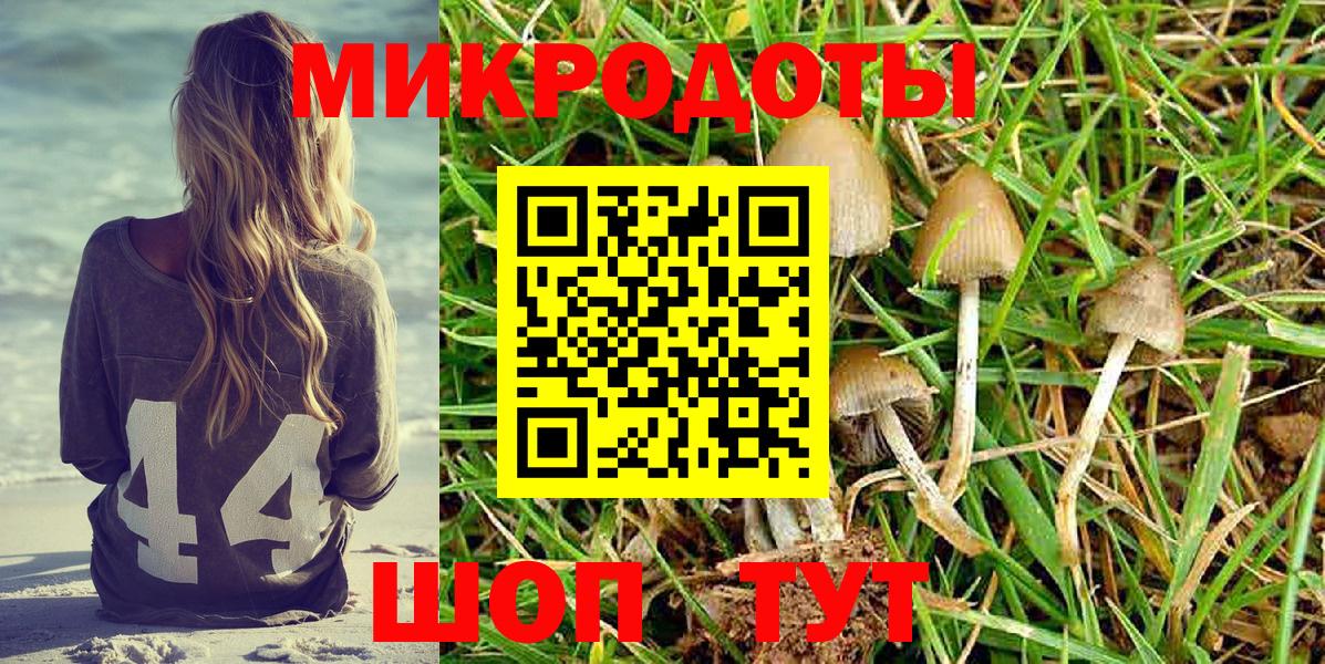 Галлюциногенные грибы GOLDEN TEACHER Великий Новгород