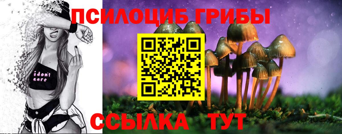 закладки  Галлюциногенные грибы мицелий  Вход с VPN  Великий Новгород 